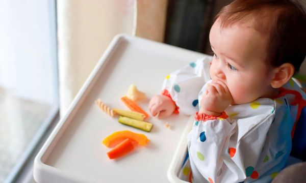 Baby-Food-Food-Introduction-and-Nutritious-Recipes